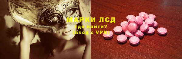 гидра Володарск