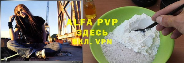 гидра Володарск