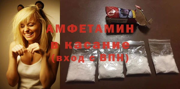 гидра Володарск