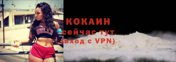гидра Володарск