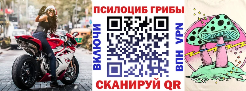 Псилоцибиновые грибы мицелий  Купить закладки  Богданович 